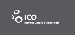 Logo_Spain_Barcelona_ICO.png