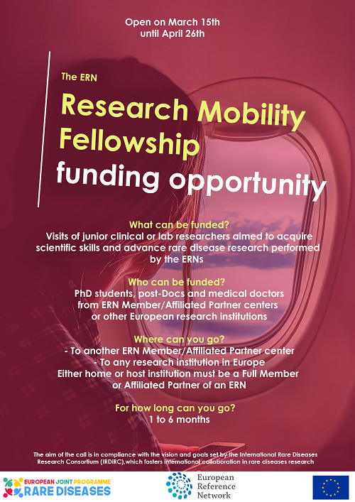 research mobility fellowship wbs.png